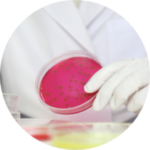 Products For MICROBIOLOGY